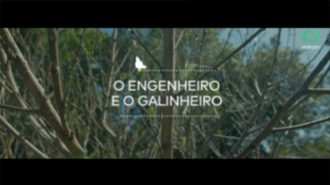 O ENGENHEIRO E O GALINHEIRO